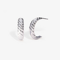 Load image into Gallery viewer, Bold Croissant-Inspired Twist Hoop Earrings