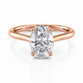 Cathedral Oval Lab-Grown Diamond Petal Prongs Hidden Halo Engagement Ring