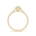 Delicate Split Shank Halo Moissanite Promise Ring