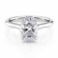 Cathedral Oval Lab-Grown Diamond Petal Prongs Hidden Halo Engagement Ring