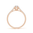 Delicate Split Shank Halo Moissanite Promise Ring
