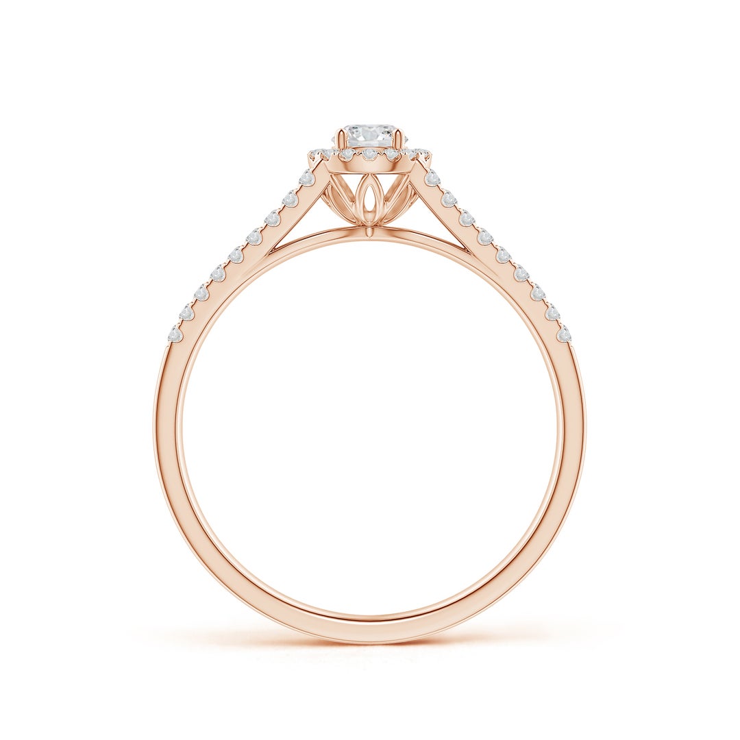 Delicate Split Shank Halo Moissanite Promise Ring