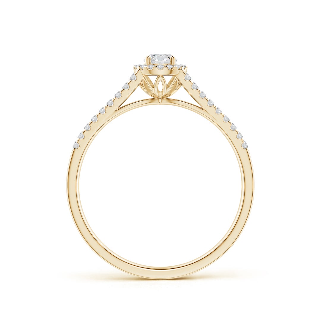 Delicate Split Shank Halo Moissanite Promise Ring
