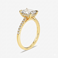 Cathedral Radiant Cut Moissanite Engagement Ring with Hidden Halo