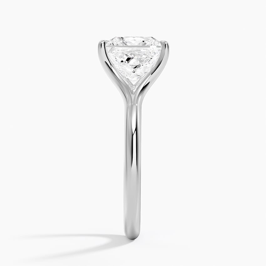 Graceful Arc Princess Cut Moissanite Engagement Ring