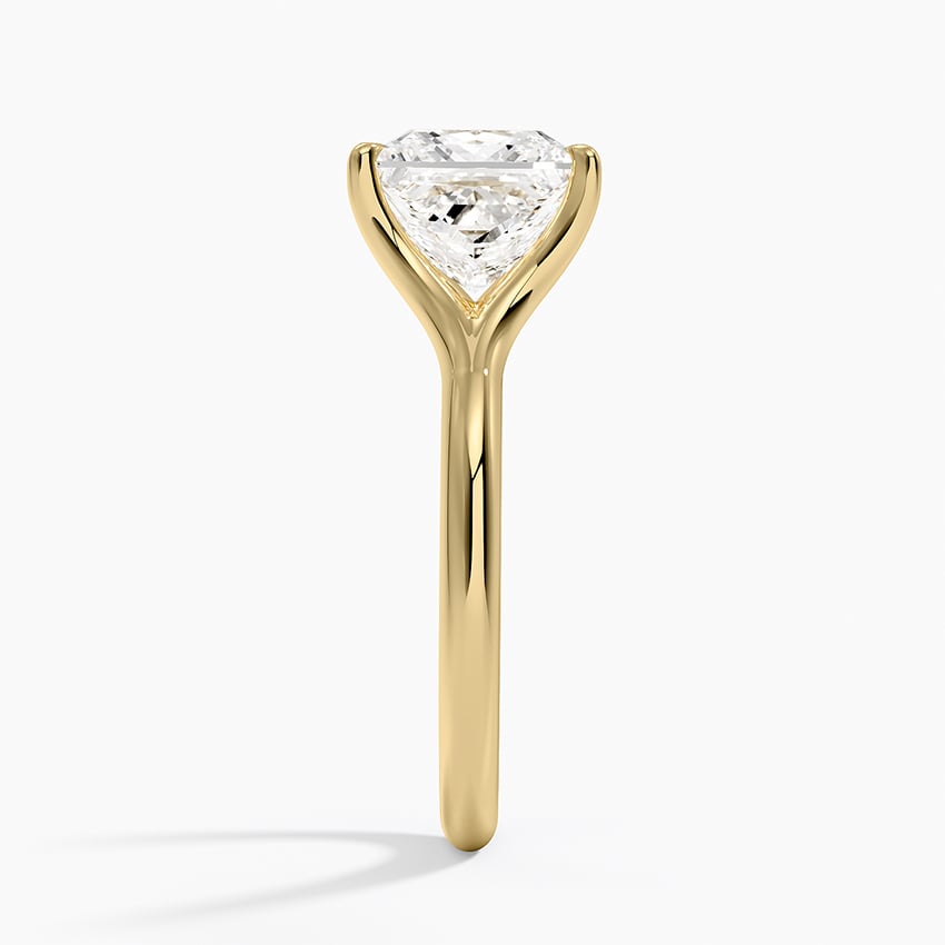 Graceful Arc Princess Cut Moissanite Engagement Ring