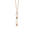 Moissanite Double Halo Circle Pendant Necklace