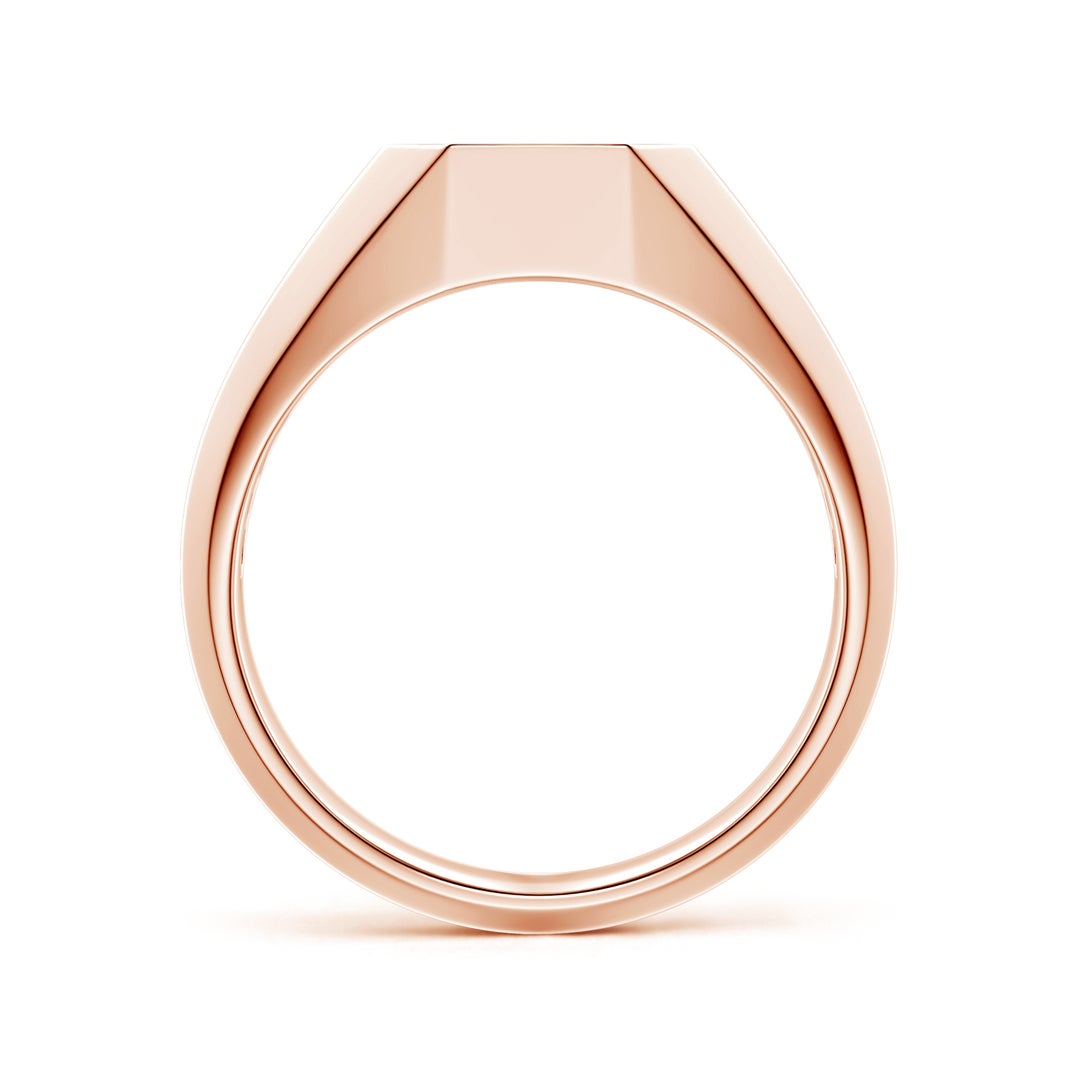 Octagon Pavé Moissanite Octagon Men's Signet Ring