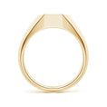 Octagon Pavé Moissanite Octagon Men's Signet Ring
