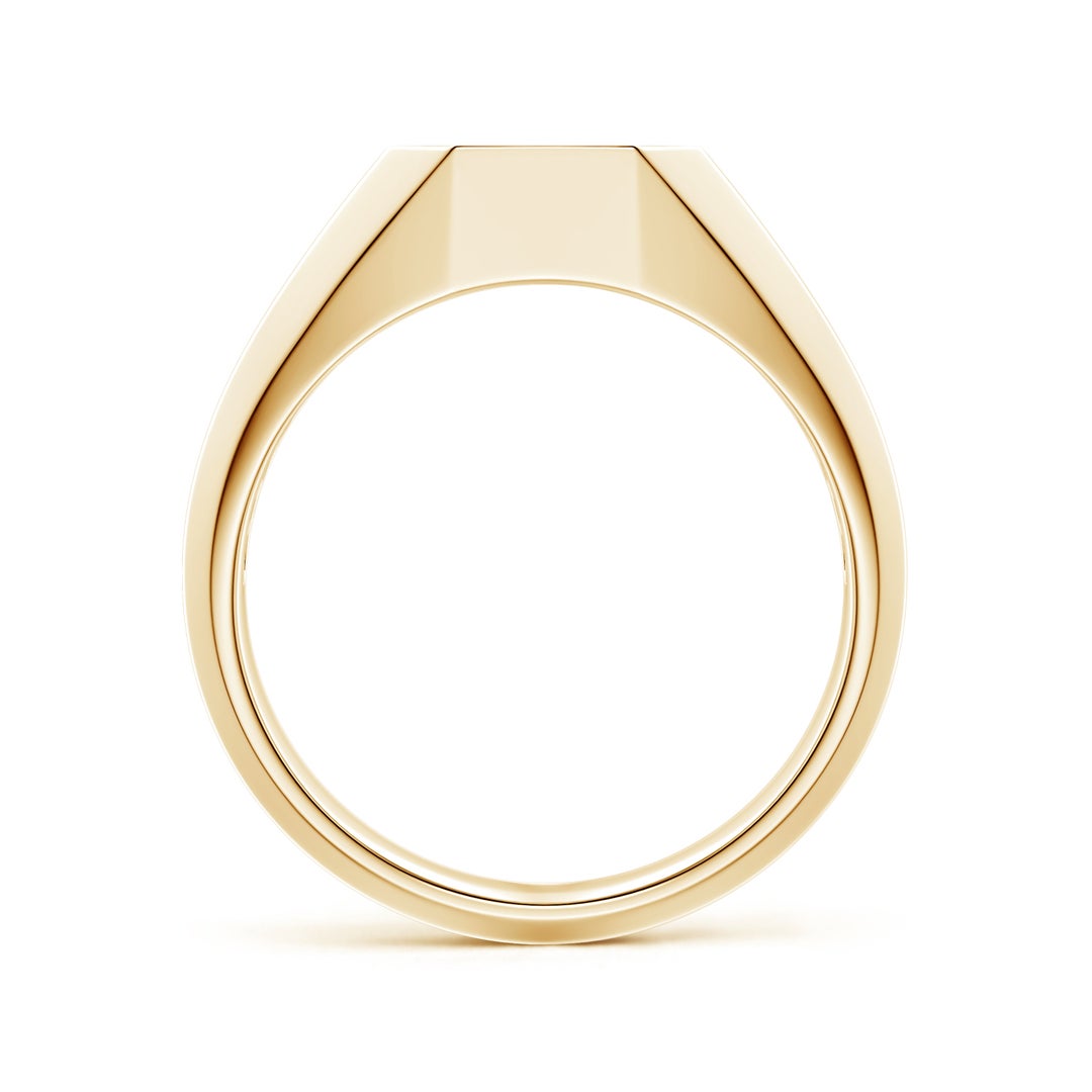 Octagon Pavé Moissanite Octagon Men's Signet Ring