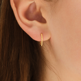 Load image into Gallery viewer, Petite Twisted Rope Hoop Earrings
