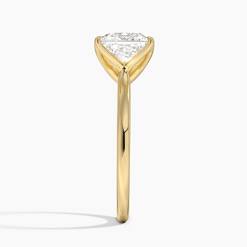 Princess Cut Petal Prong Solitaire Moissanite Engagement Ring