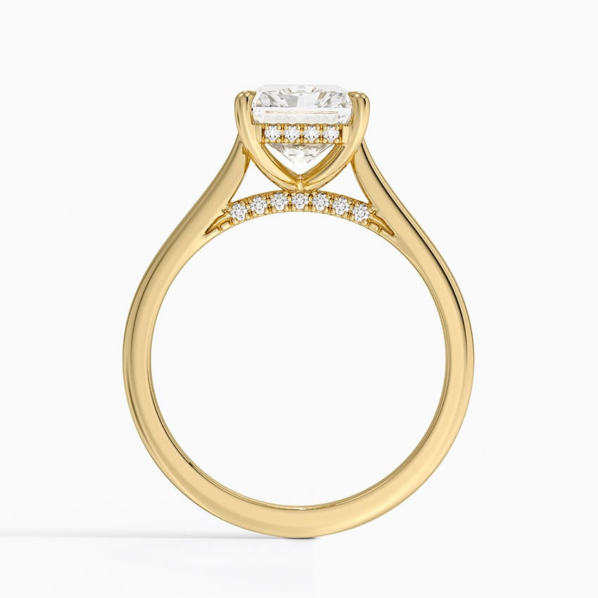 Radiant Cut Hidden Halo Moissanite Engagement Ring