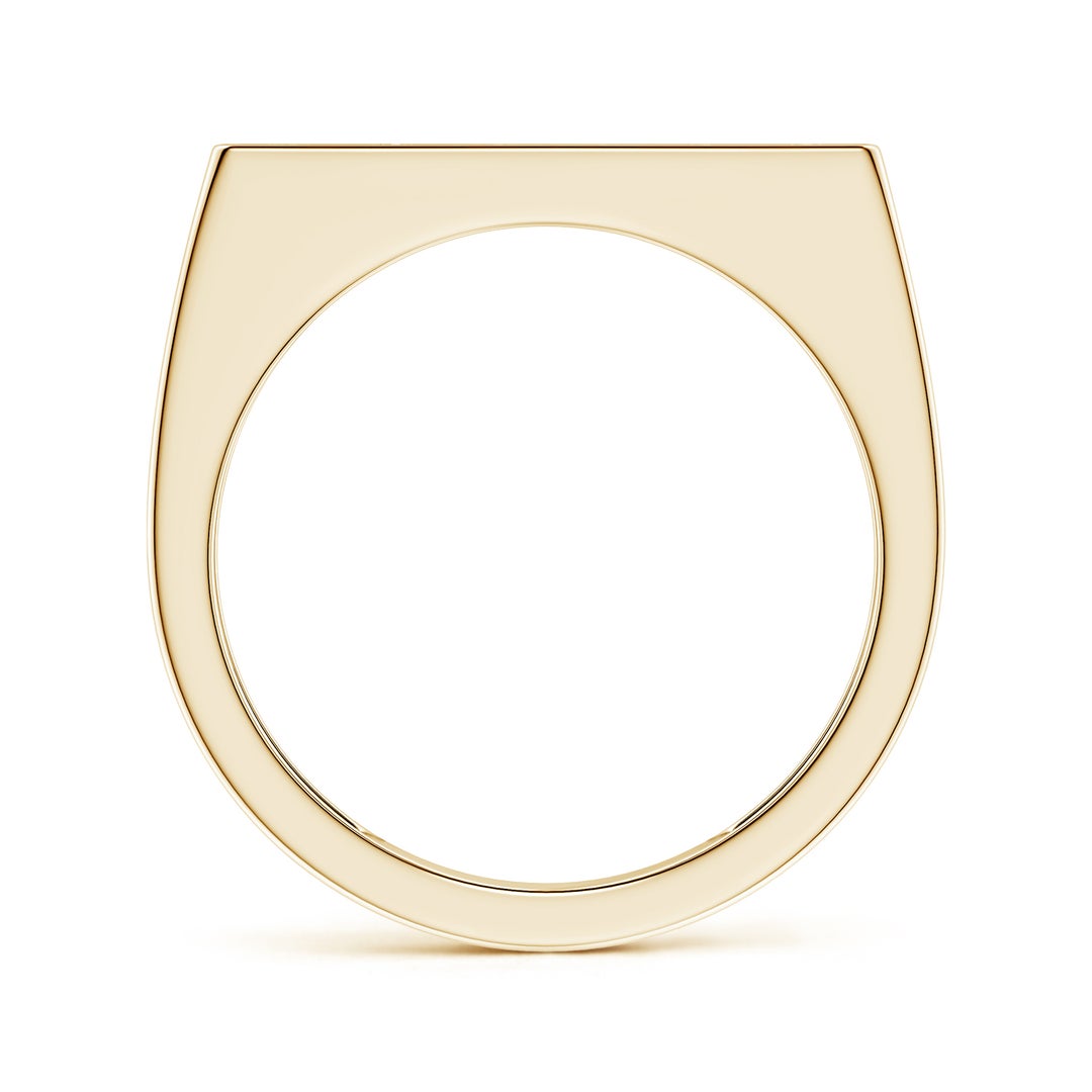 Rectangular Checkerboard Pavé Moissanite Men’s Signet Ring