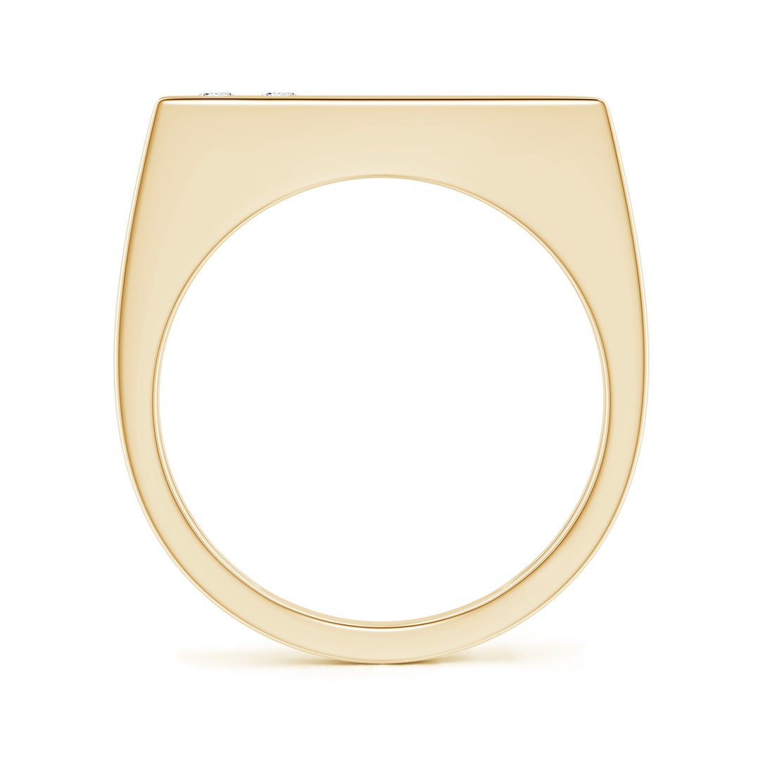 Rectangular Flush-Set Moissanite Men’s Signet Ring