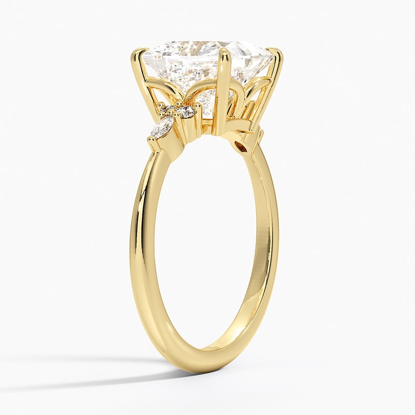 The Radiant Princess Cut Moissanite Engagement Ring