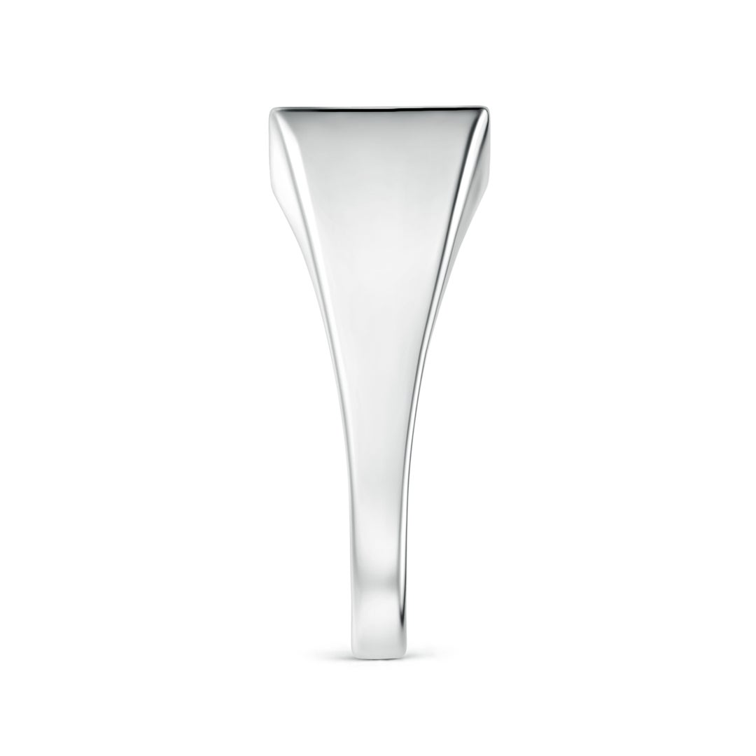 Vertical Pavé Moissanite Rectangular Men’s Signet Ring