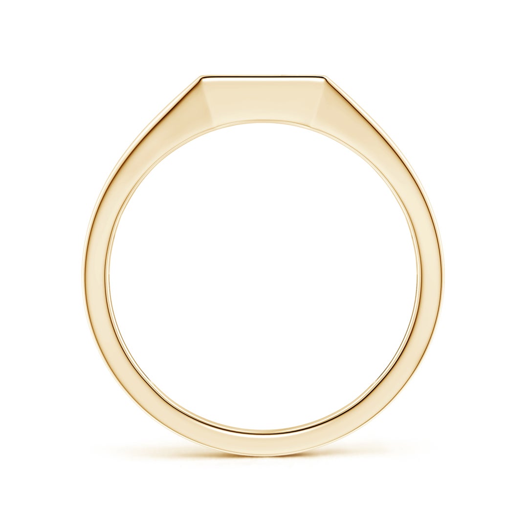 Vertical Pavé Moissanite Rectangular Men’s Signet Ring