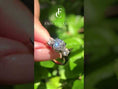 Round Cut Three Stone Moissanite Engagement Ring